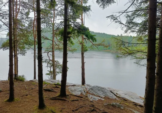 Schweden